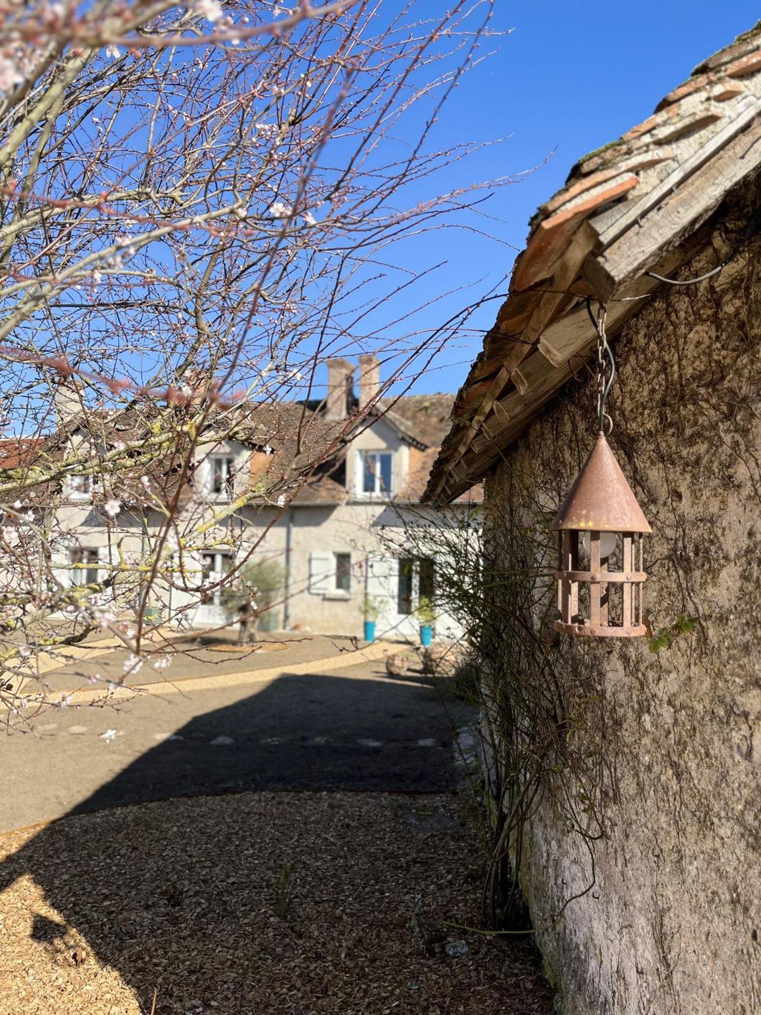 Nuits De Loire -Entre Blois Et Chambord Bed and Breakfast Vineuil  Δωμάτιο φωτογραφία